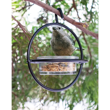 Load image into Gallery viewer, Monarch Circular Bird Feeder (Clear Glass Base) with Perch
