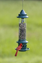 Load image into Gallery viewer, Squirrel Buster Plus Squirrel-proof Bird Feeder - Front
