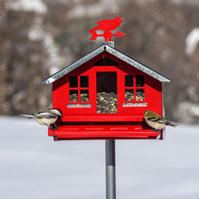Load image into Gallery viewer, Perky-Pet 338 Squirrel-Be-Gone II Country House Bird Feeder with Weathervane, 8 lb, Red

