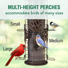 Load image into Gallery viewer, Perky-Pet SBG101 Squirrel-Be-Gone Max Pinecone Bird Feeder with Flexports – 1.75 lb Capacity
