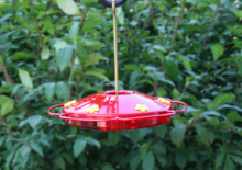 Load image into Gallery viewer, Perky-Pet 221 Hummingbird Oasis 16-Ounce Hummingbird Feeder
