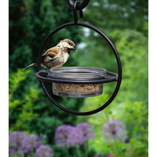 Load image into Gallery viewer, Monarch Circular Bird Feeder (Clear Glass Base) with Perch
