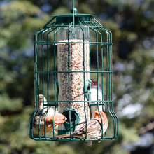 Load image into Gallery viewer, Caged Tube Squirrel Proof Wild Bird Feeder - Hanging
