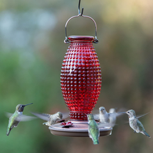 Load image into Gallery viewer, Perky-Pet Red Hobnail Vintage Glass Hummingbird Feeder 8130-2

