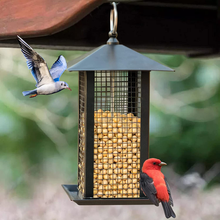 Load image into Gallery viewer, Modern Black Hanging Wild Bird Feeders  - Outside
