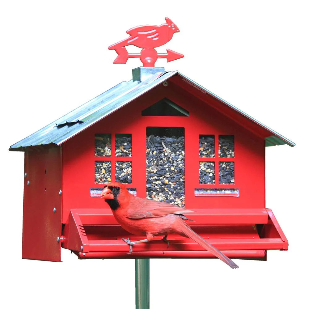 Squirrel-Be-Gone II Green Country Style Squirrel Proof Bird Feeder - Red