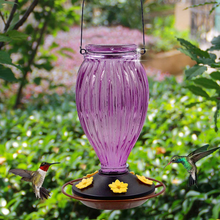 Load image into Gallery viewer, Juegoal Glass Hummingbird Feeders for Outdoors - 37 oz Wild Bird Feeder 5 Feeding Ports, Bud Shaped Metal Handle Hanging for Garden Tree Yard Outside Decoration, Violet
