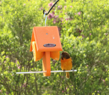 Load image into Gallery viewer, Kettle Moraine Recycled Single Oriole Orange Fruit Feeder
