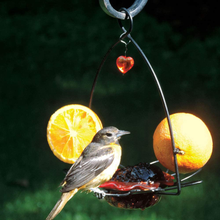 Load image into Gallery viewer, Birds Choice Flower Oriole Bird Feeder Small Orange
