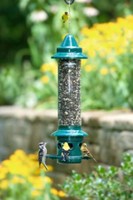 Load image into Gallery viewer, Squirrel Buster Plus Squirrel-proof Bird Feeder Backyard
