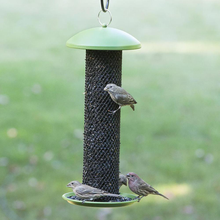 Load image into Gallery viewer, Green Straight-Sided Sunflower Tube Hanging Bird Feeder - 1.5 lb. Capacity

