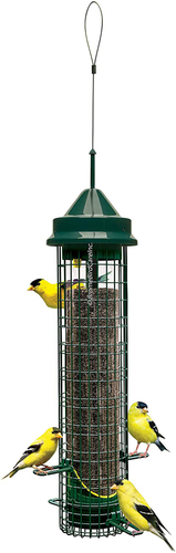 Squirrel Buster Finch Squirrel-proof Bird Feeder w/4 Metal Perches & 8 Feeding Ports, 2.4-pound Thistle/Nyjer Seed Capacity
