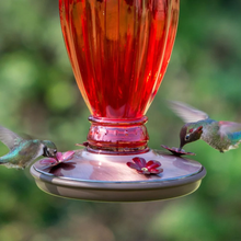 Load image into Gallery viewer, Red Daisy Vase Decorative Glass Hummingbird Feeder - 18 oz. Capacity

