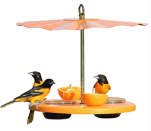 Load image into Gallery viewer, Kettle Moraine Super Oriole Recycled Orange Fruit, Jelly, Mealworm Bird Feeder w/Orange Roof
