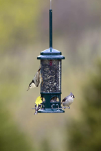 Load image into Gallery viewer, Squirrel Buster Standard Squirrel-proof Bird Feeder  - Outdoors
