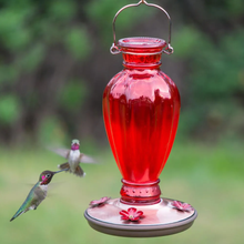 Load image into Gallery viewer, Red Daisy Vase Decorative Glass Hummingbird Feeder - 18 oz. Capacity
