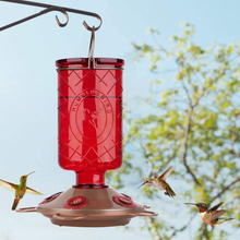 Load image into Gallery viewer, BOLITE 18005 Hummingbird Feeders, Glass Hummingbird Feeders for Outdoors, 5 Feeding Stations, 22 Ounces, Red Bottle
