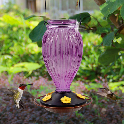 Juegoal Glass Hummingbird Feeders for Outdoors - 37 oz Wild Bird Feeder 5 Feeding Ports, Bud Shaped Metal Handle Hanging for Garden Tree Yard Outside Decoration, Violet
