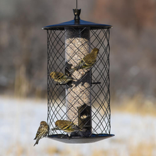 Load image into Gallery viewer, The Preserve Squirrel Proof Bird Feeder - 3 lb. Capacity
