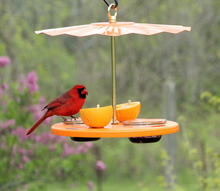 Load image into Gallery viewer, Kettle Moraine Super Oriole Recycled Orange Fruit, Jelly, Mealworm Bird Feeder w/Orange Roof
