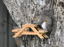 Load image into Gallery viewer, Squirrel Picnic Table Feeder - Squirrel Feeders for Outside Tree, Deck or Fence Mount, Natural Wood with Tin Bucket (Light Cedar)

