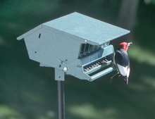 Load image into Gallery viewer, Audubon Bird&#39;s Delight Squirrel Resistant Bird Feeder Model 7511i
