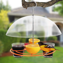 Load image into Gallery viewer, Solution4Patio Baltimore Oriole Feeder, Orange Halves Fruit &amp; Grape Jelly, and Mealworm for Bluebirds, Weather Guard Squirrel Baffle #G-B312A00-US

