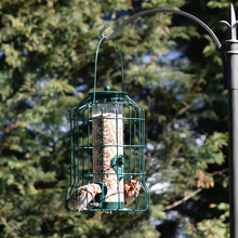 Load image into Gallery viewer, Caged Tube Squirrel Proof Wild Bird Feeder - Outdoors
