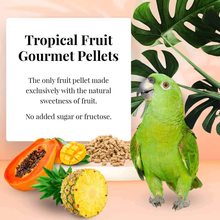 Load image into Gallery viewer, LAFEBER&#39;S Premium Daily Diet or Gourmet Fruit Pellets Pet Bird Food, Made with Non-GMO and Human-Grade Ingredients, for Parrots
