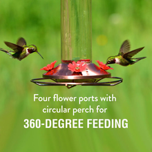 Load image into Gallery viewer, Elegant Glass Copper Hummingbird Feeder - 12 oz. Capacity
