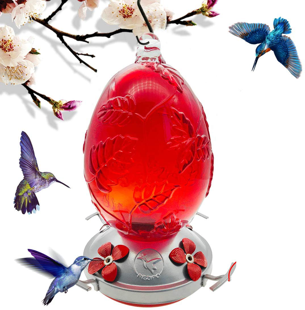 REZIPO Hummingbird Feeder with Perch - Hand Blown Glass - Red - 26 Fluid Ounces Hummingbird Nectar Capacity Include Hanging Wires and Moat Hook