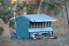 Load image into Gallery viewer, Woodlink Absolute Squirrel Resistant Bird Feeder Model 7533
