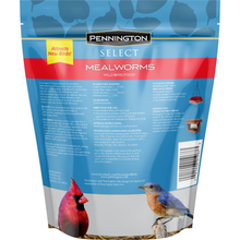 Load image into Gallery viewer, 17.6 oz. Select Mealworms Wild Bird Food
