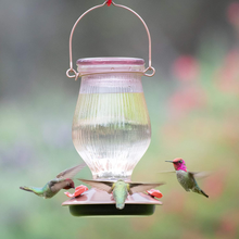 Load image into Gallery viewer, Perky-Pet 9104-2 Rose Gold Top-Fill Glass Hummingbird Feeder Rose Gold 24 oz Capacity
