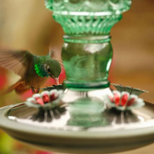 Load image into Gallery viewer, Green Antique Bottle Decorative Glass Hummingbird Feeder - 10 oz. Capacity
