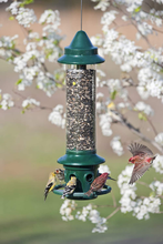 Load image into Gallery viewer, Squirrel Buster Plus Squirrel-proof Bird Feeder - Outdoors
