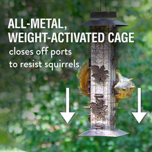Load image into Gallery viewer, Perky-Pet 336 Squirrel-Be-Gone Wild Bird Feeder – 2 lb, Beige

