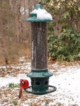 Load image into Gallery viewer, Squirrel Buster Plus Squirrel-proof Bird Feeder - Outside
