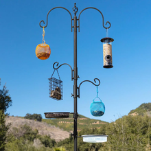 Load image into Gallery viewer, Steel Suet/Block Multi-Bird Feeder Station outdoors
