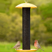 Load image into Gallery viewer, Yellow Straight Sided Finch Tube Hanging Bird Feeder - 1.5 lb. Capacity
