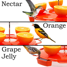 Load image into Gallery viewer, Solution4Patio Baltimore Oriole Feeder Hummingbird Combination, 3 Types Food, Orange, Grape Jelly, Nectar, 34-Ounce Nectar Capacity, Weather Guard Squirrel Baffle #G-B122A00
