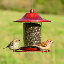Load image into Gallery viewer, Red Sparkle Panorama Hanging Bird Feeder - 2 lb. Capacity
