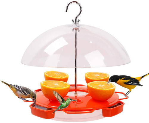 Solution4Patio Baltimore Oriole Feeder Hummingbird Combination, 3 Types Food, Orange, Grape Jelly, Nectar, 34-Ounce Nectar Capacity, Weather Guard Squirrel Baffle #G-B122A00