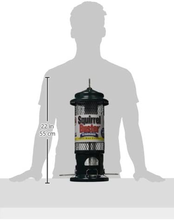 Load image into Gallery viewer, Squirrel Buster Standard Squirrel-proof Bird Feeder  - Size
