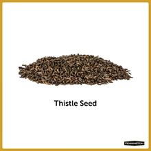 Load image into Gallery viewer, Premium 10 lbs. Thistle (Nyjer) Bird Seed
