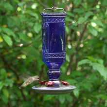 Load image into Gallery viewer, Perky-Pet 8117-2 Cobalt Blue Antique Bottle Hummingbird Feeder, 16 Ounce - 100514993,Medium
