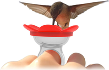 Load image into Gallery viewer, Hummingbird Ring Feeder (Red)

