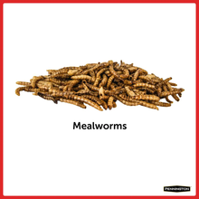 Load image into Gallery viewer, 17.6 oz. Select Mealworms Wild Bird Food
