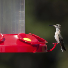 Load image into Gallery viewer, Grand Master Plastic Hummingbird Feeder - 48 oz. Capacity

