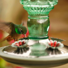 Load image into Gallery viewer, Perky-Pet 8108-2 Green Antique Bottle 10-Ounce Glass Hummingbird Feeder
